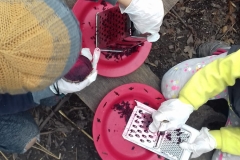 IMG-20190424-WA0008
